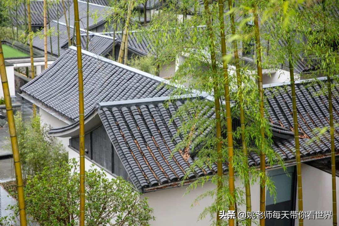 浙西低调山水小城，入选2021全球最佳旅行地邂逅早春一方秘境