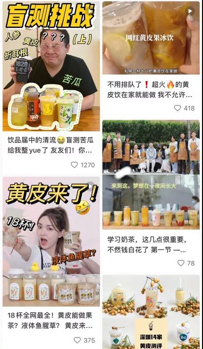 你吃过黄皮吗,你吃过红皮龙眼吗