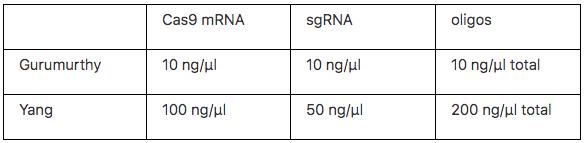 杨辉指付向东讲的与发表的不同