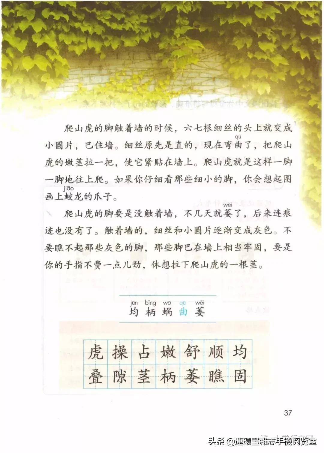 广西小学四年级上册语文课本,四年级的语文上册课本全部