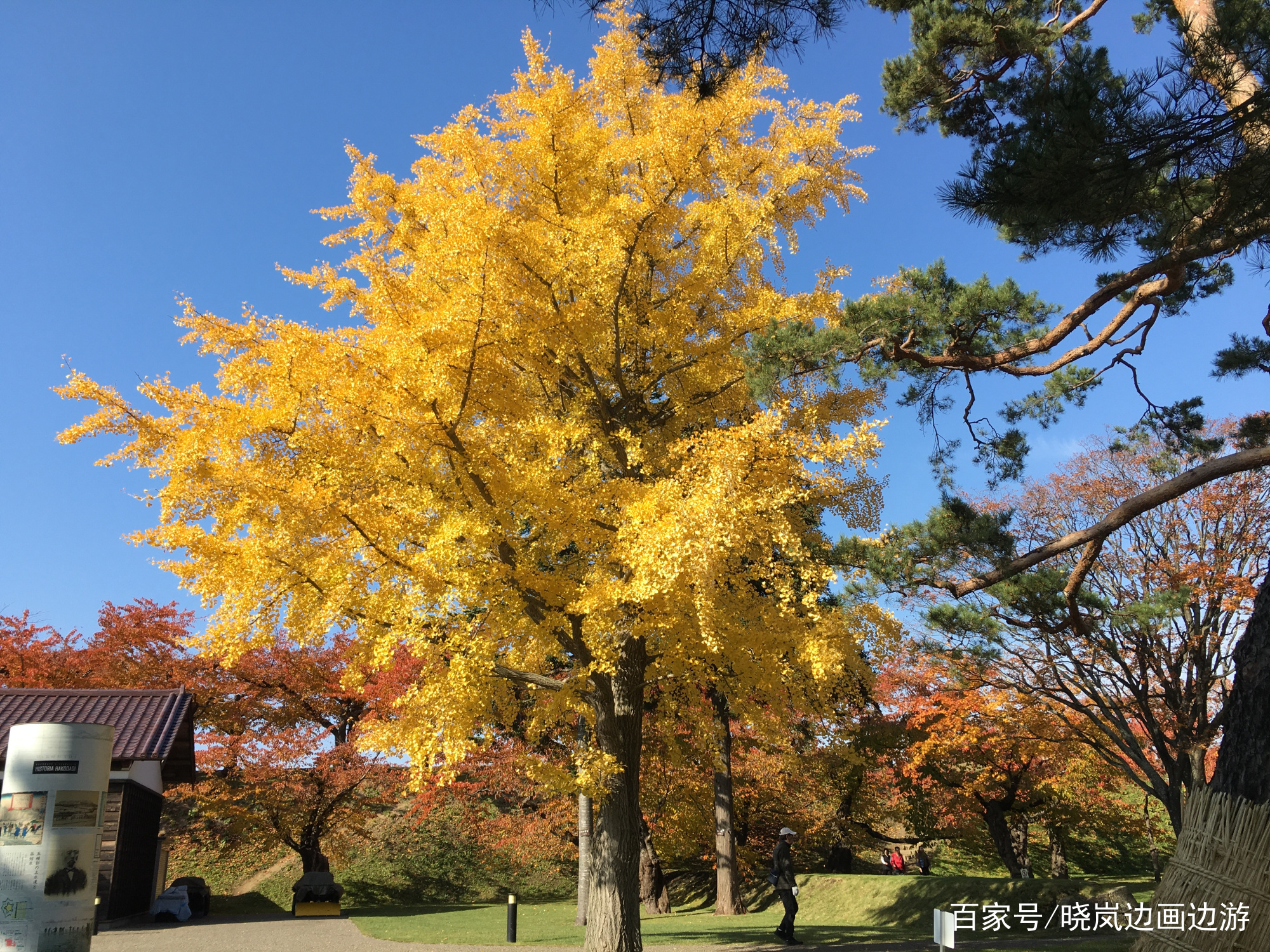 北海道函馆游玩攻略,日本旅行vlog北海道小樽札幌函馆