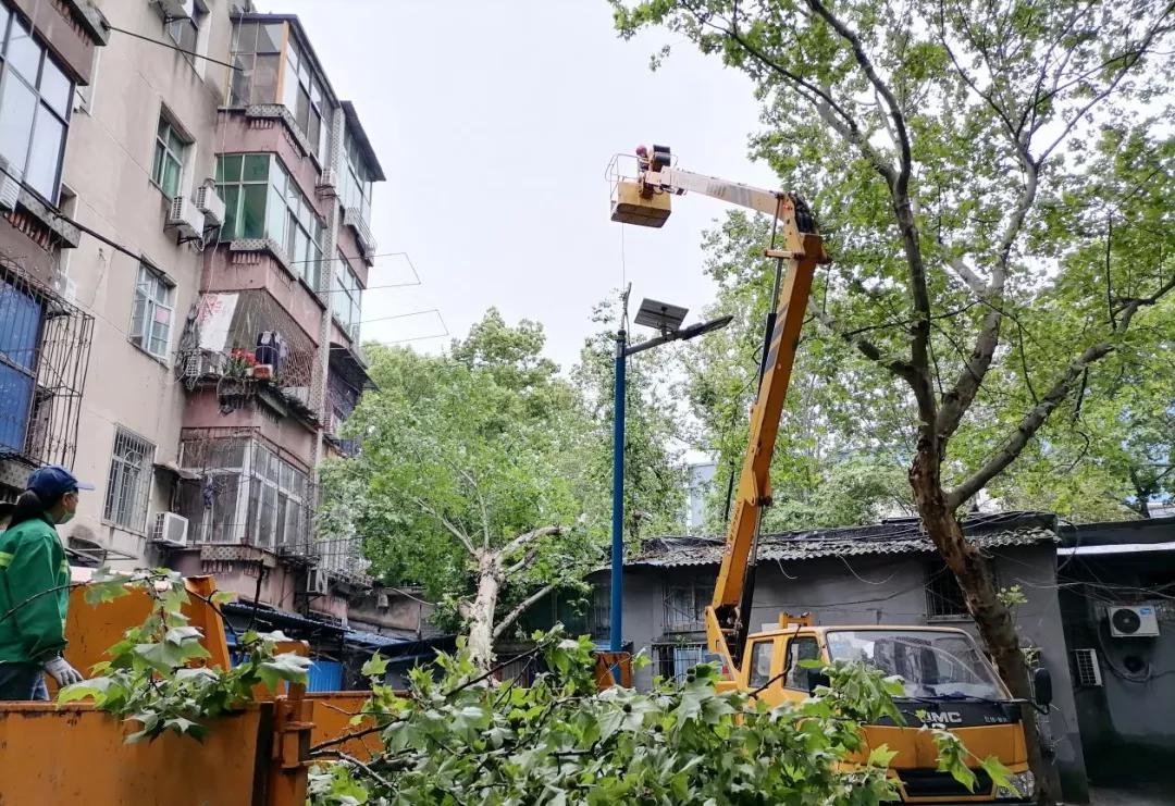 大树刮倒砸到邻居房屋,大树连根拔起砸到隔壁民房