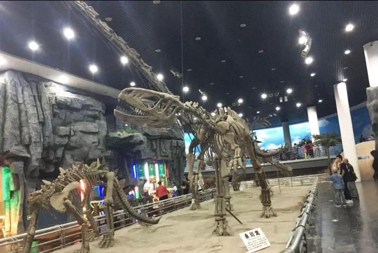 长春一日游有什么好玩的,长春一日游玩的地方都有哪些