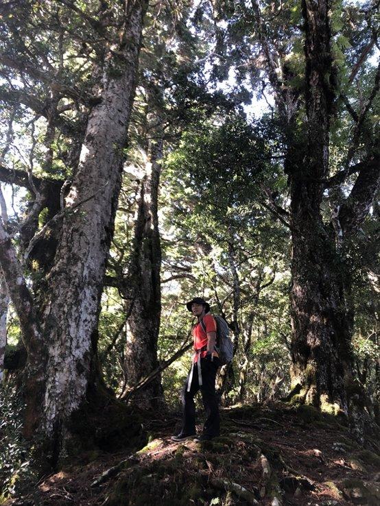 纵横山野的最佳伙伴,德国户外品牌TATONKA塔通卡户外背包实测