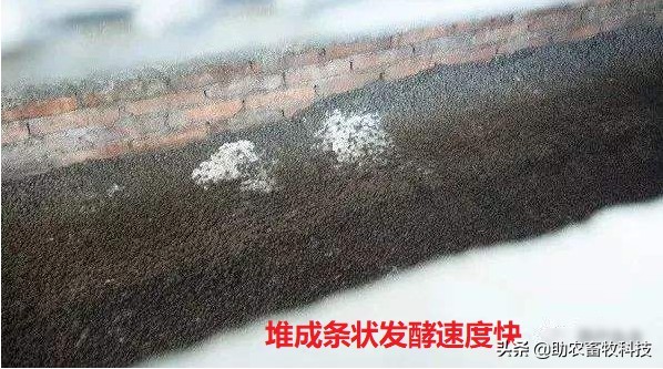 兔臭味怎么去除,兔臭怎么办