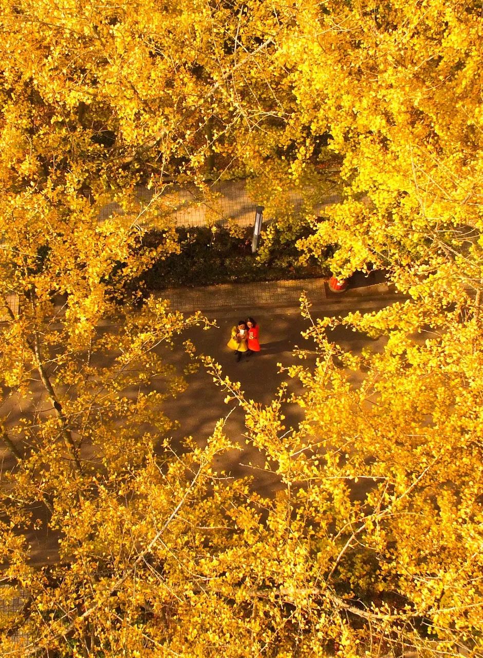 被严重低估的江苏成绩,扬州被严重低估的城市