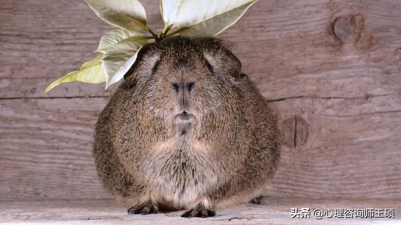 运动是治疗抑郁症的最佳方法,抑郁症运动和不运动的区别