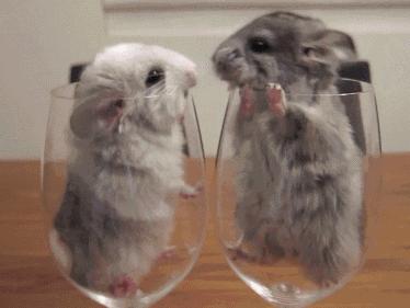 爱我你就别亲亲我!有一种病叫“亲吻病”,你听说过吗?