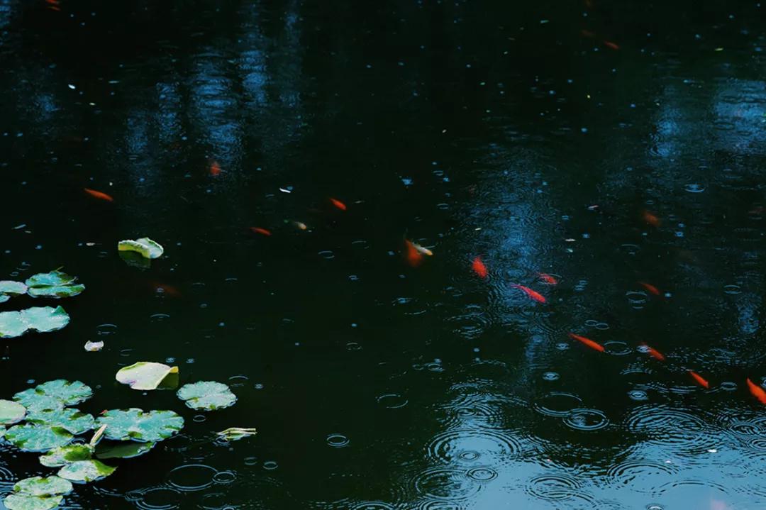 苏州园林静谧之美,苏州小众园林