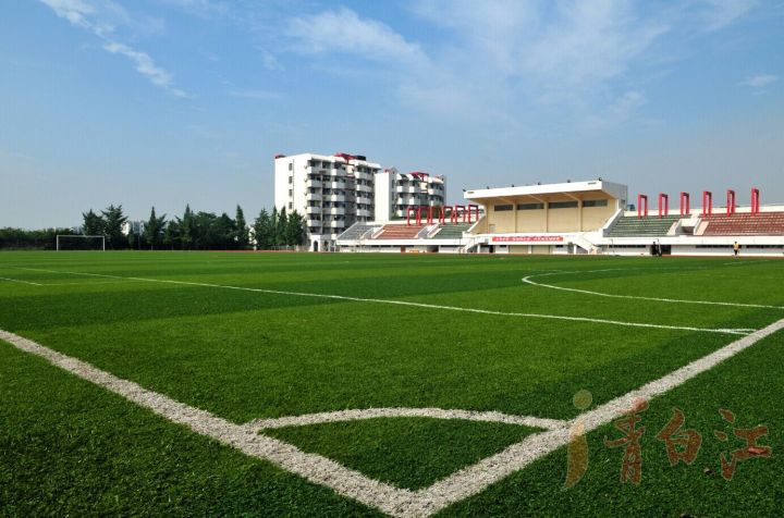 青白江最美的女神,青白江最美的校花