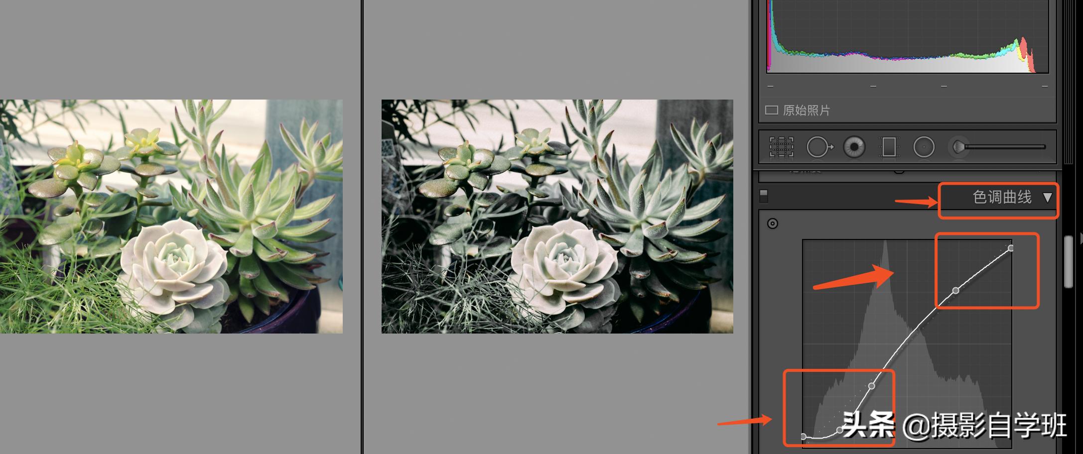 灰色显高级发色,高级灰风格照片的特点和调色方法