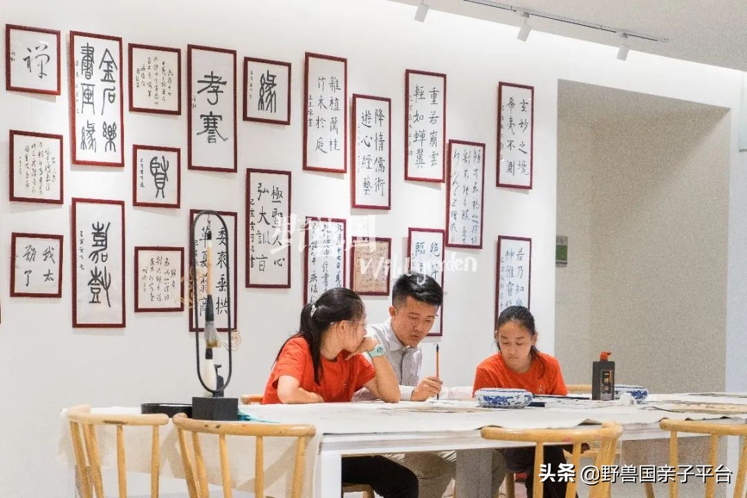 一年20万学费的清澜山学校,都在学些什么?