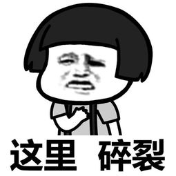 前锋燃气热水器f系列,前锋燃气热水器f806