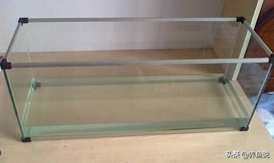 养观赏鱼用多深的鱼缸好,养观赏鱼用原生缸