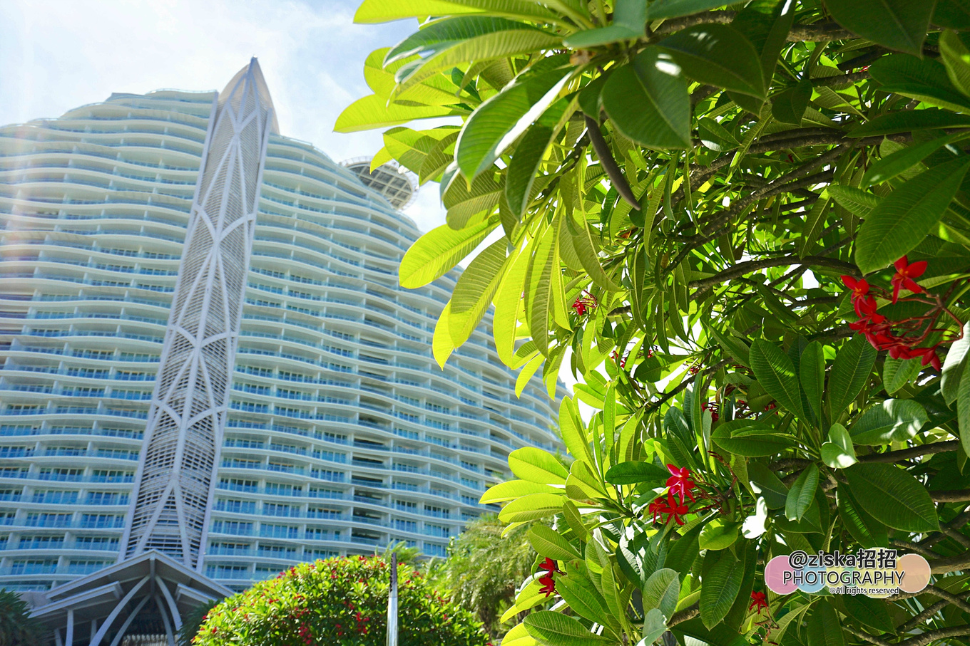 杨紫给李现分享旅游景点,现实生活中李现和杨紫到三亚旅游