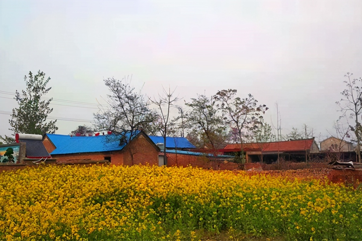 马云谈农村未来有什么发展前景,马云说未来发展在农村