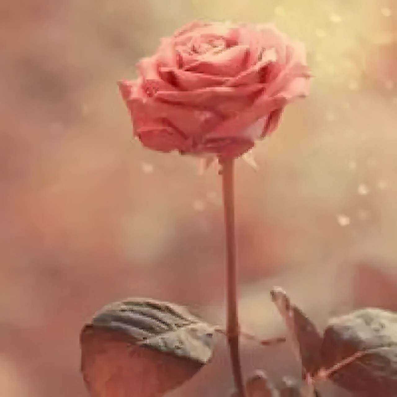 产后妈妈们最真实的月子生活,产后妈妈真实生活