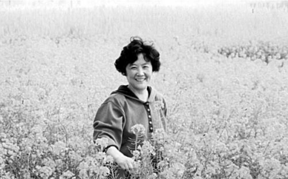 外国夫妻住老洋房,跨国夫妻住200平