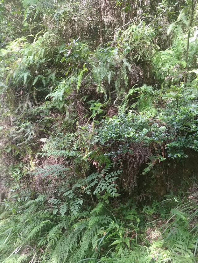 农业合作化的主要原则,农业合作化的实质