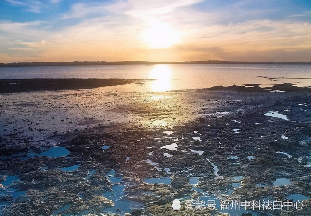 如何保护我们的眼睛小视频,保护眼睛我们该怎么做