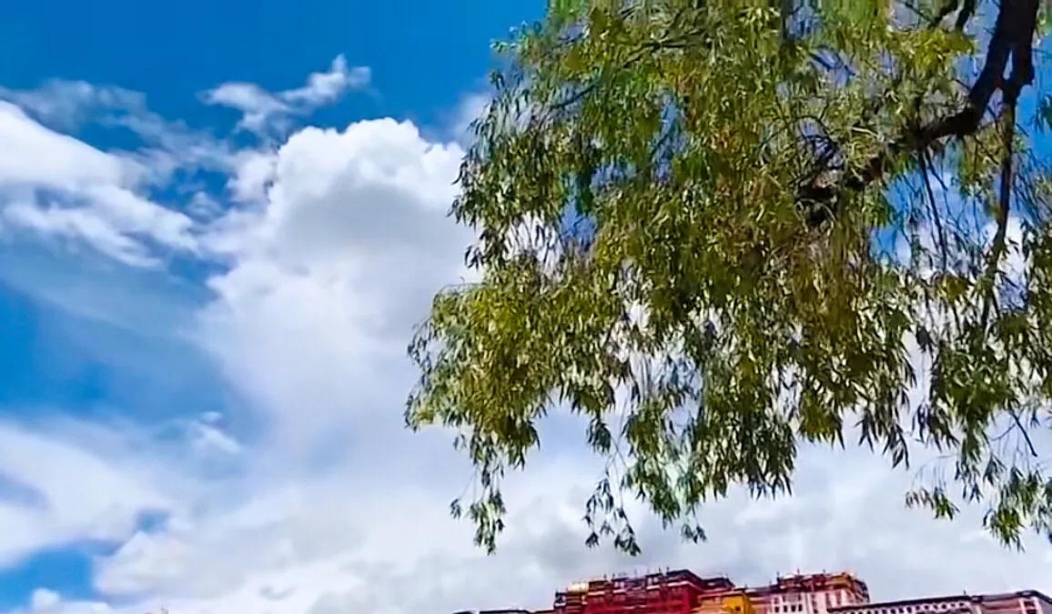 灯火辉煌的布达拉宫,洁白无瑕的布达拉宫