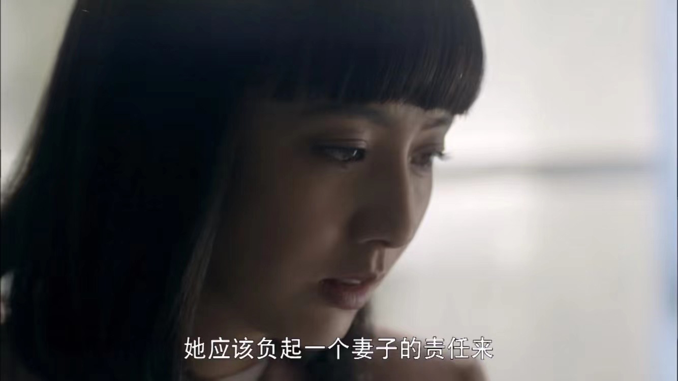 以田润叶视角打开平凡的世界,平凡的世界对田润叶的评价