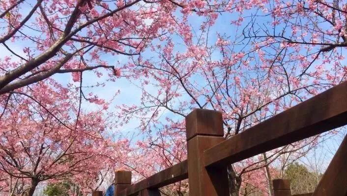 上海站到上海新国际博览中心地铁,上海地铁沿线景点排名