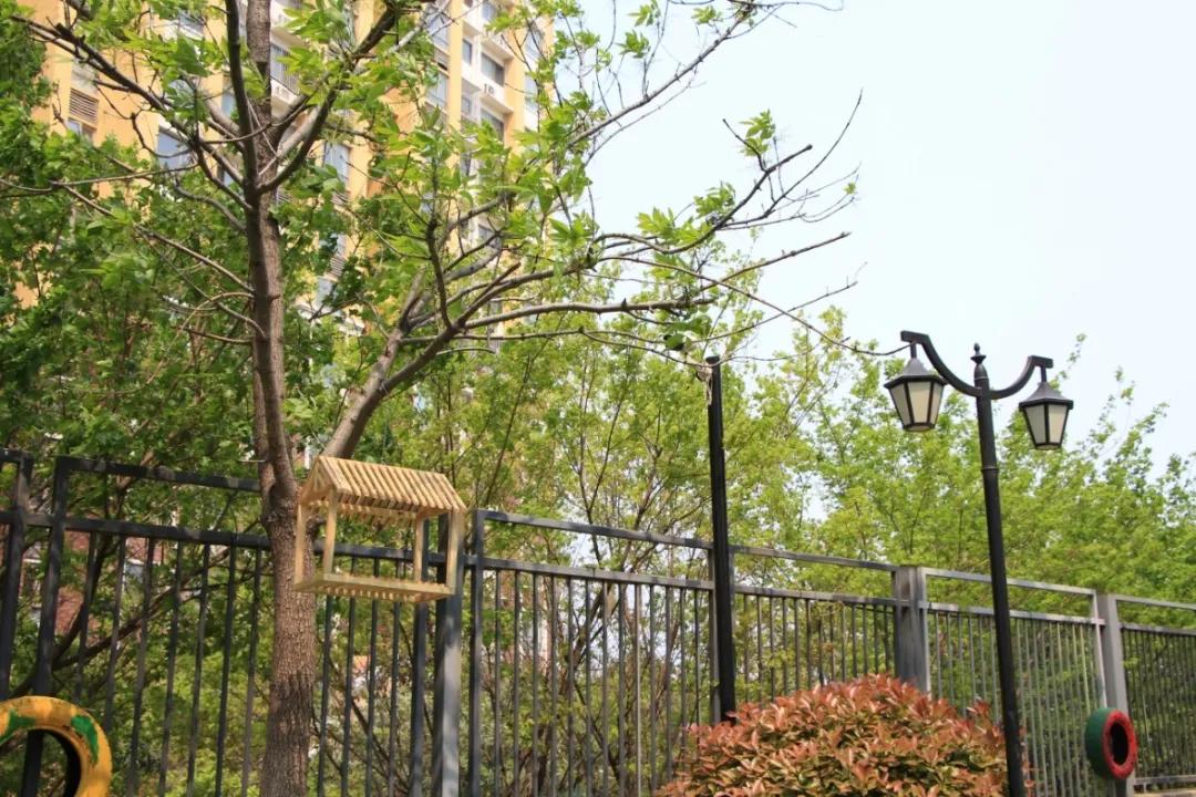 五龙汇爱幼稚园,郑州五龙新城汇爱幼儿园