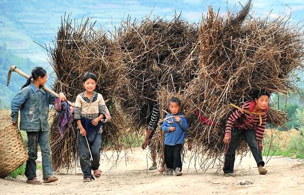 农村孩子在玩泥巴,农村的孩子在田里玩泥巴