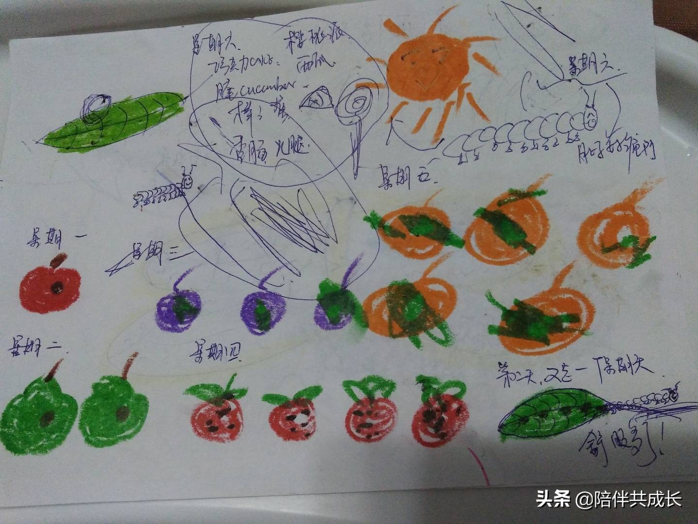 亲子绘本好饿的毛毛虫制作,亲子阅读好饿的小蛇