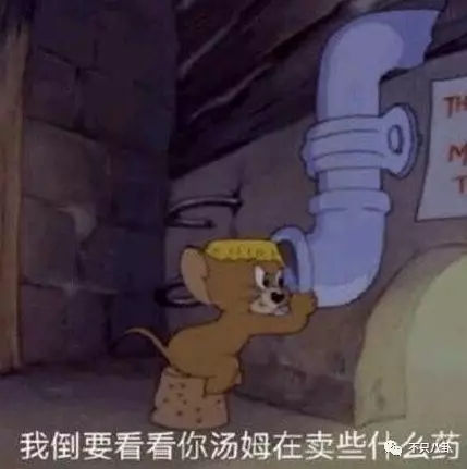 张庭夫妇旗下的微商成员,张庭的微商团队有多大