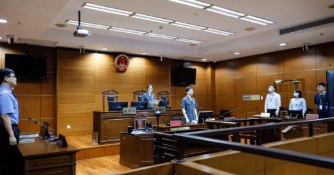 旌逸集团吸金百亿被查,旌逸集团实控人判刑了吗