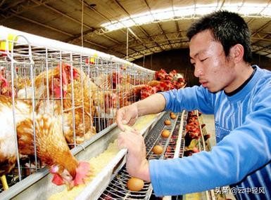 农村创业现在适合干什么,适合一个人在家创业的小本生意