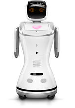 自我繁殖的机器人,机器人繁殖方法