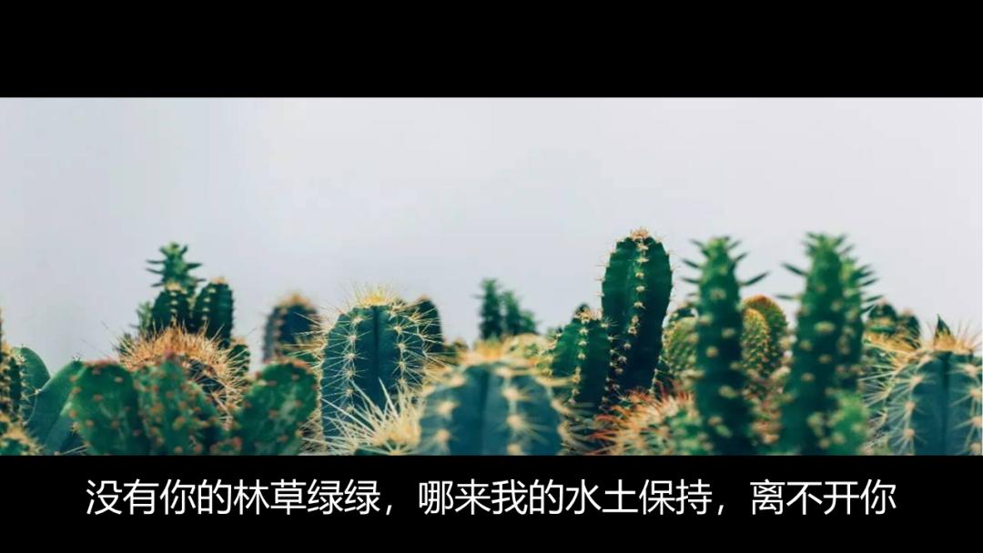 开学第一课地理,免费观看高中地理全套课程