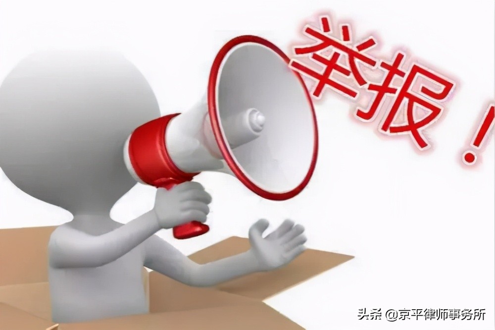 举报处罚决定能给举报人吗,举报人对举报结果能复议或诉讼吗