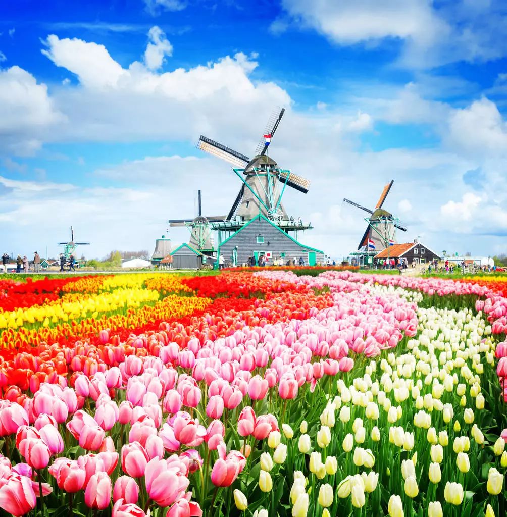 网络上90%的旅行攻略，都是用来坑人的！你被坑过吗？