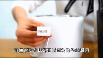 宠物饮水机“漏电”化身杨永信!你还敢让猫咪用它喝水吗?