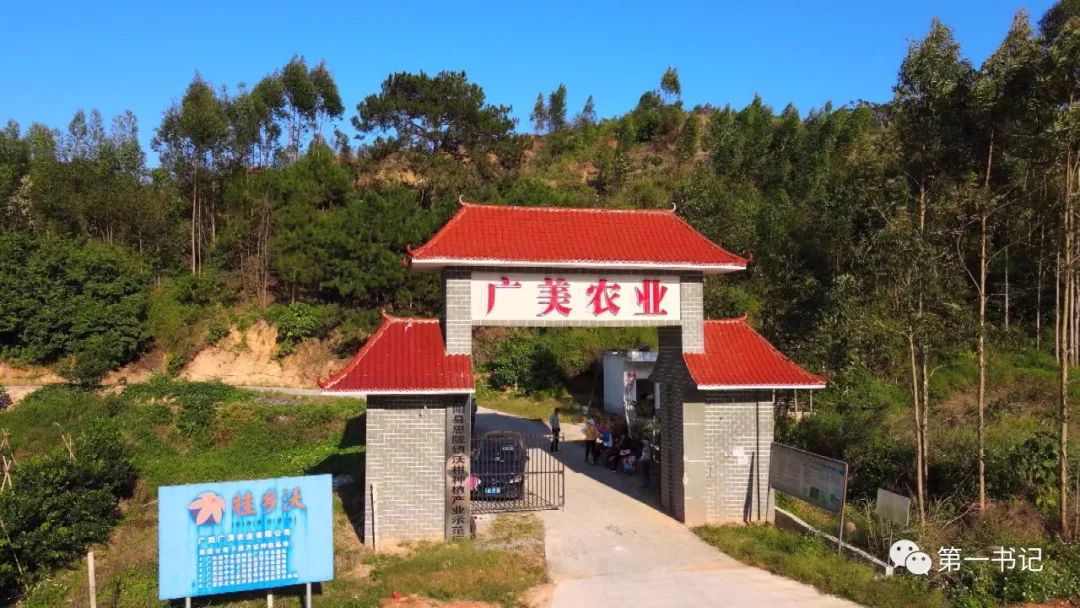 广西乡村振兴带动脱贫,乡村振兴宾阳