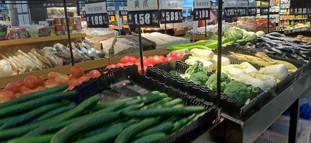 忆当初青春年少,再忆青春完整版