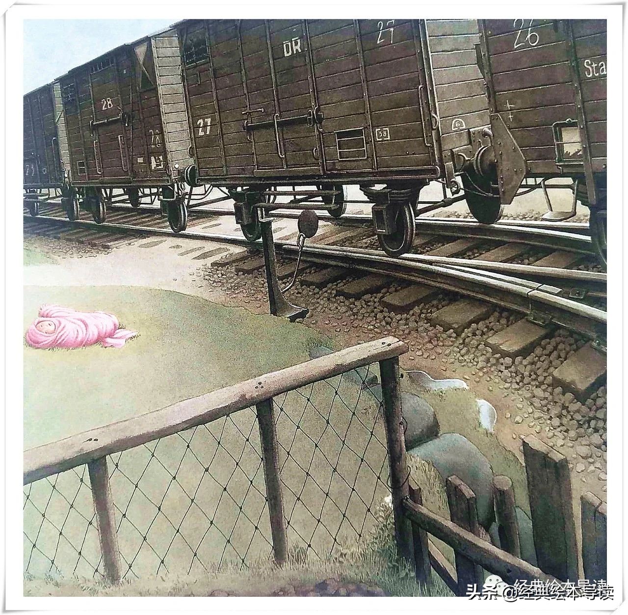 大卫之星书籍 (大卫之星导读书)