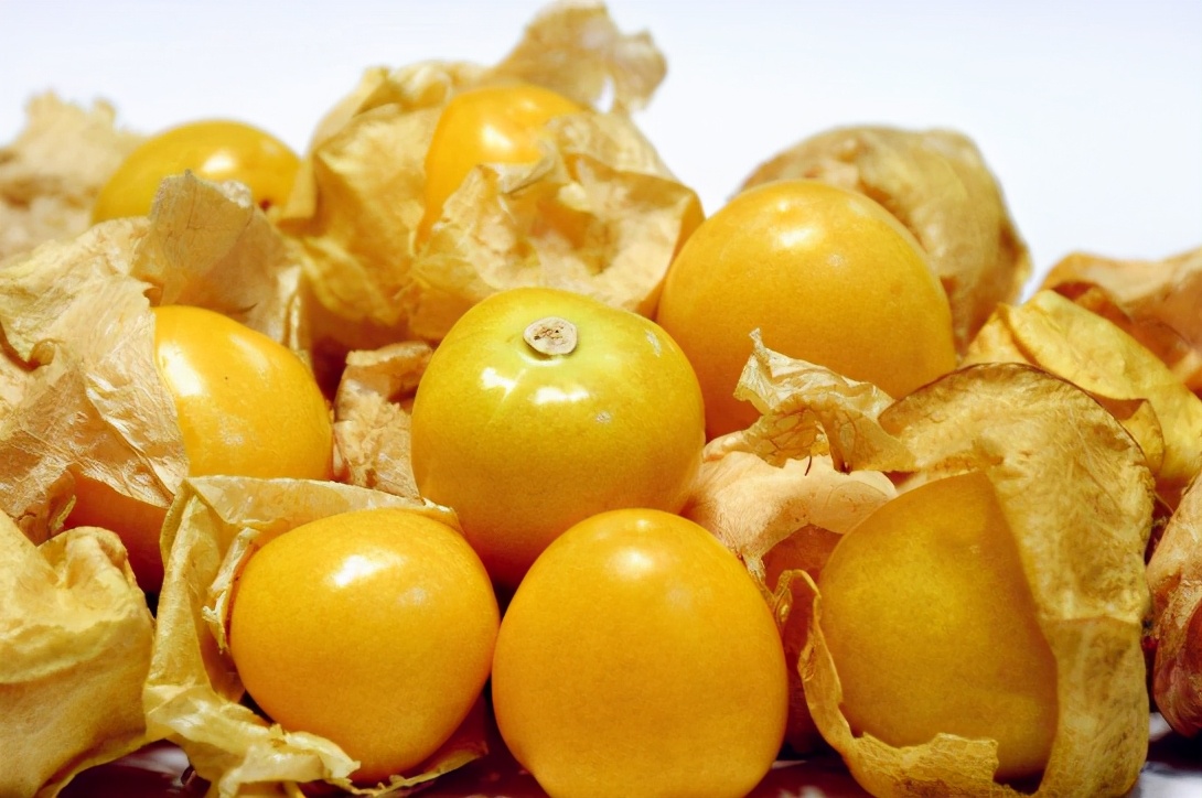 果实像灯笼一样的叫什么,东北水果灯笼果俗称