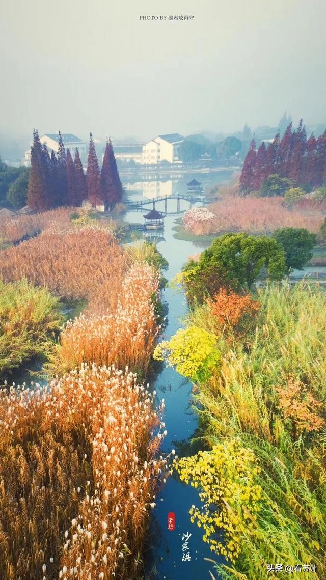 一入秋苏州怎就美成了姑苏,一入秋南京就成了金陵