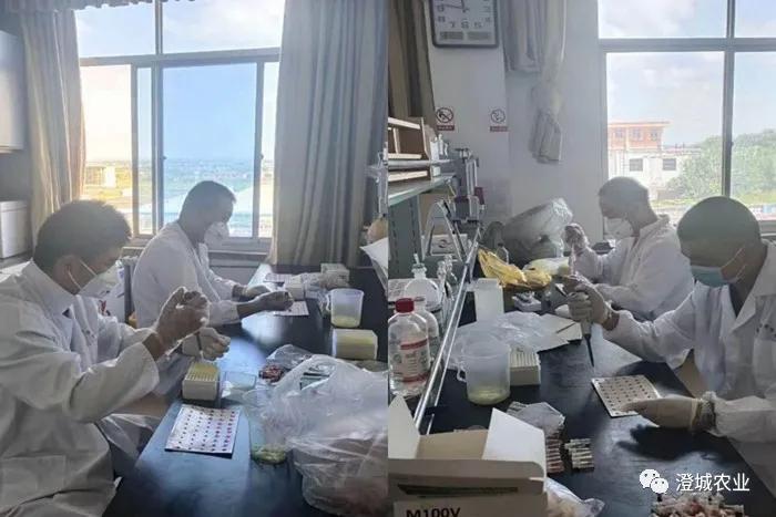 兰陵县疫情防控工作,布病防控宣传