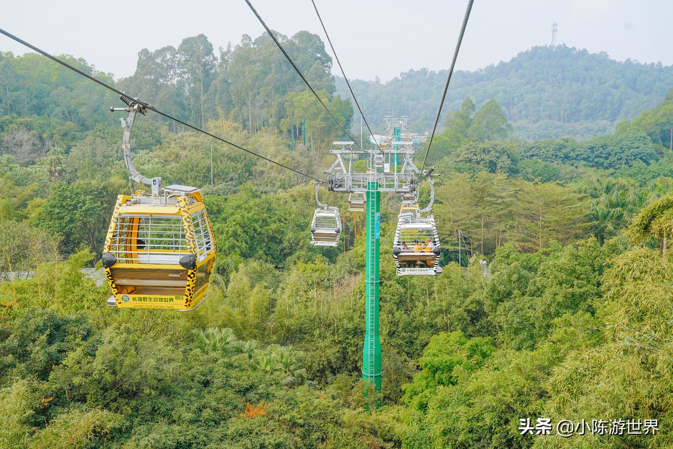 寒假广州长隆三天两夜亲子游攻略,带孩子广州长隆旅游攻略