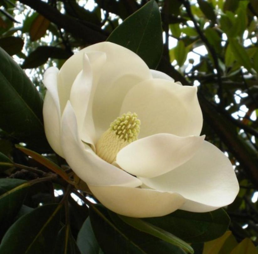 管恩锋|不忘国耻人勤奋屹立东方家国安（十九首南京行吟）