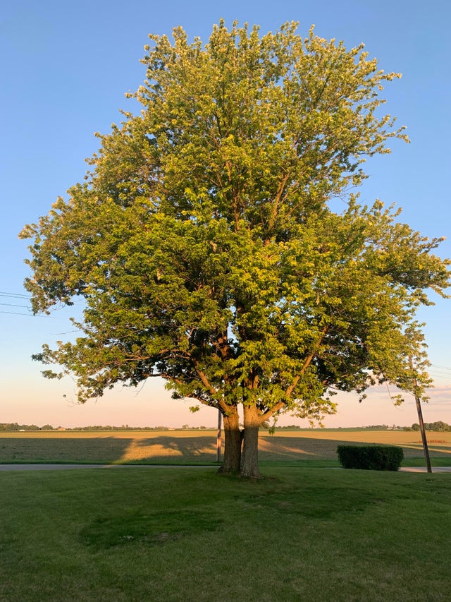 印度为什么贫富差异那么大,印度的贫富差距是多少
