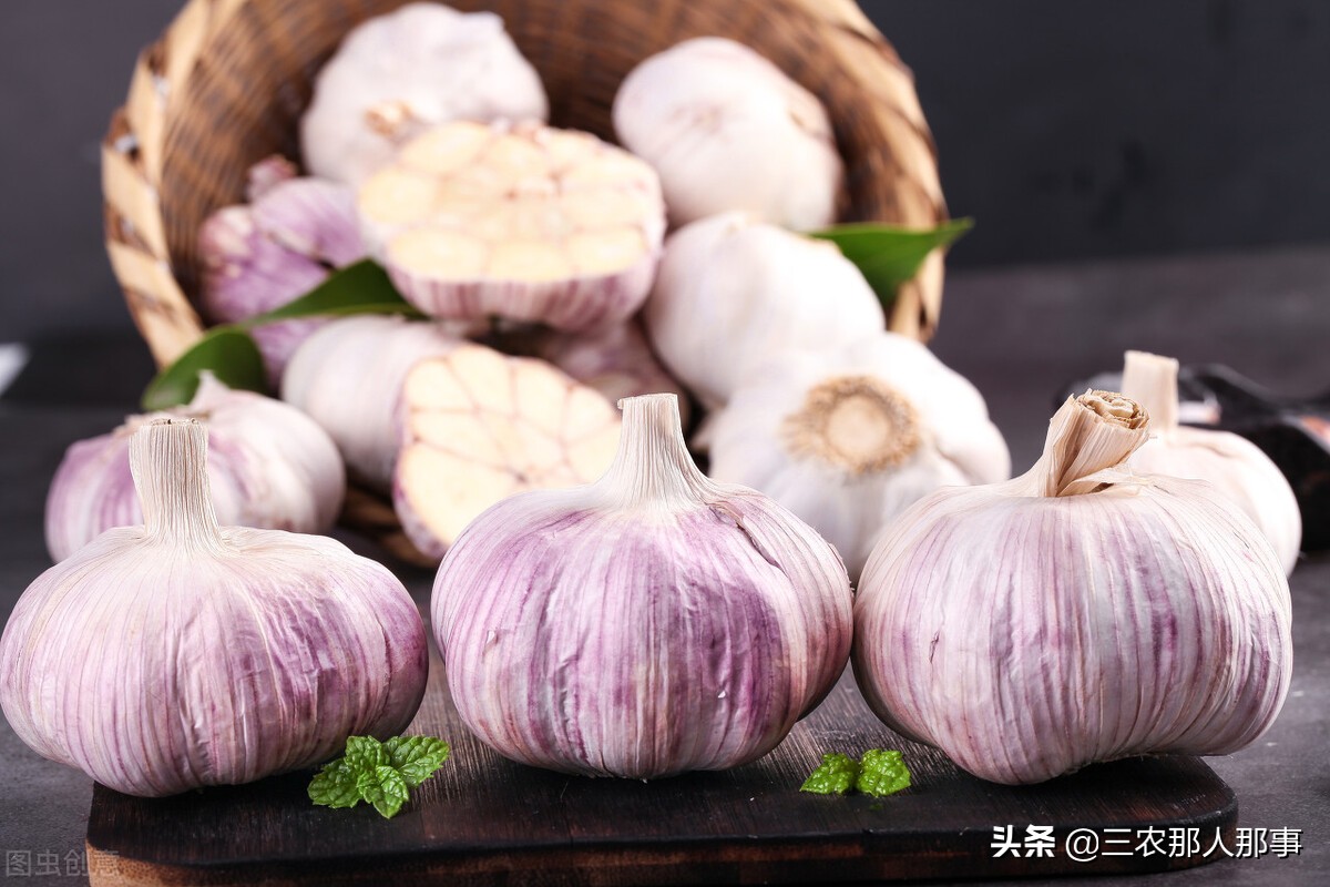 大蒜施肥的正确方法和时间,2020年大蒜行情大蒜施肥方法