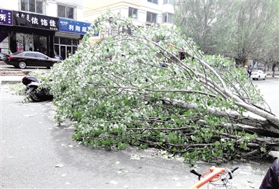 璋堣姳璇磋崏,璋堣姳璁鸿崏