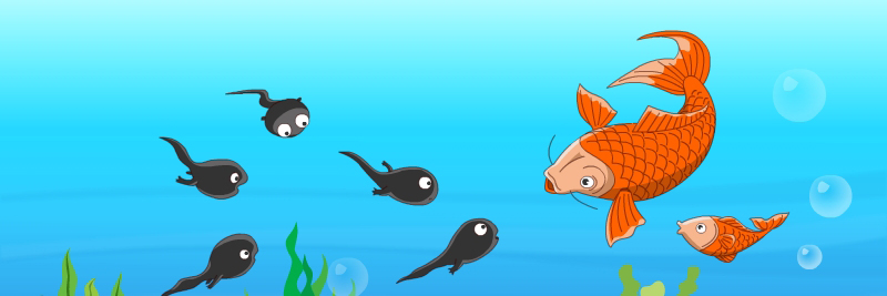 部编版二年级下册教材基本结构,部编二年级上册教材全解